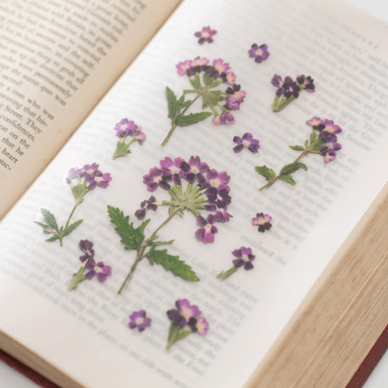 Verbena press flower deco sticker Verbena press flower deco sticker