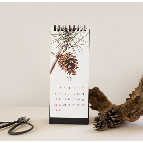 NACOO 2020 Botanical monthly standing desk calendar