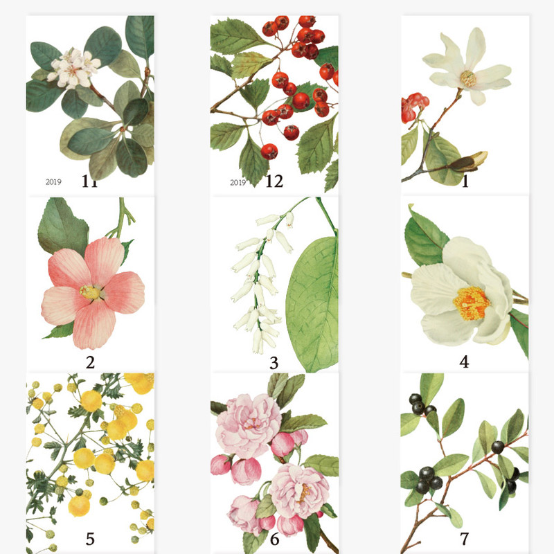 Monthly calendar - NACOO 2020 Botanical monthly standing desk calendar