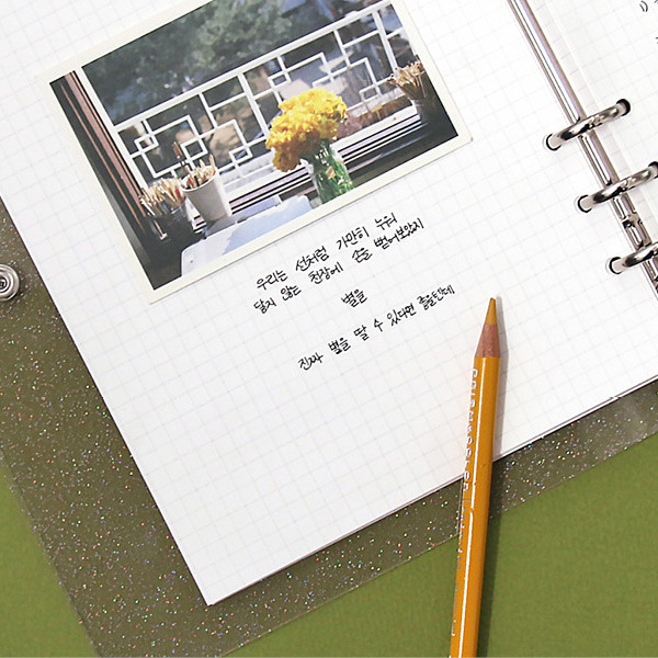 Usage example - Second Mansion Damwha 6-ring A5 size grid notebook