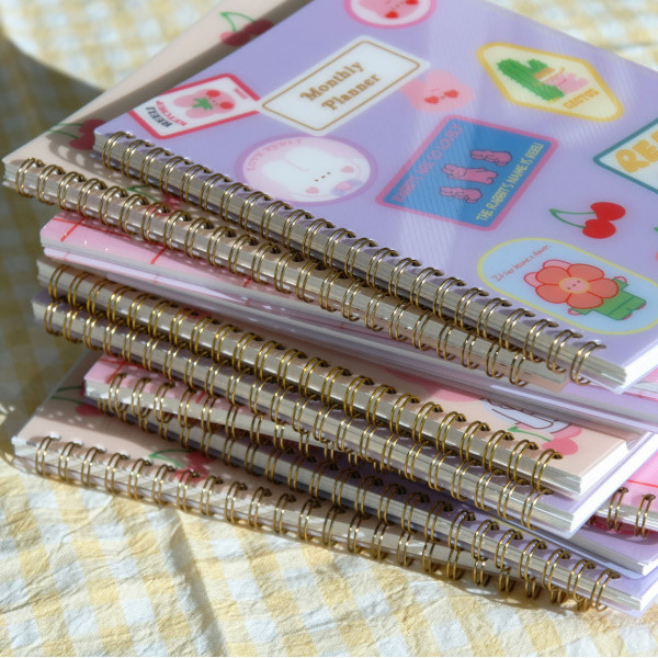 Wire bound - Reeli 6 months dateless monthly planner notebook