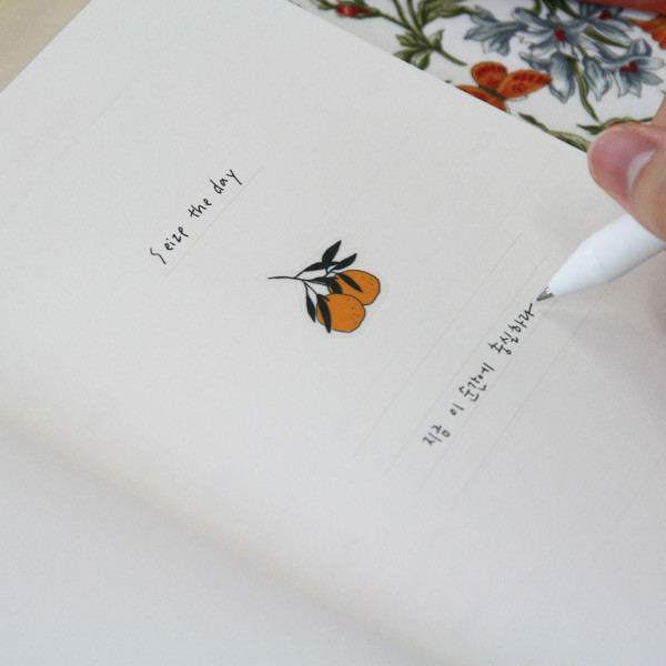 Intro - DESIGN GOMGOM Seize the day dateless weekly planner 