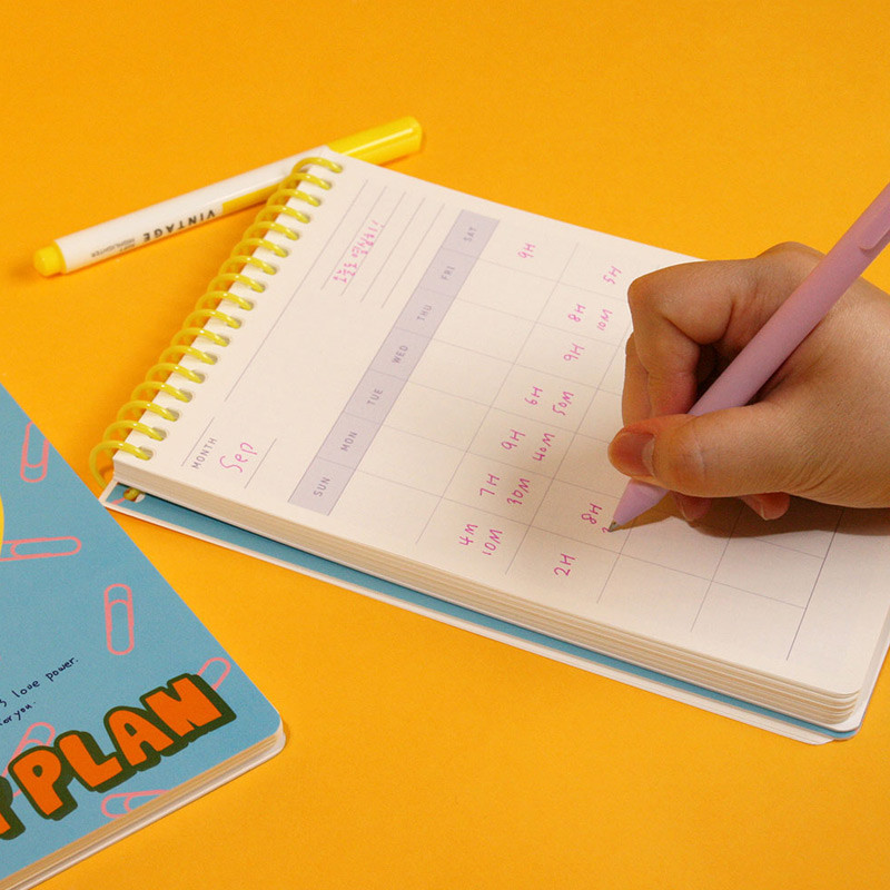 Usage example - DESIGN GOMGOM Reeli 100days spiral bound study planner