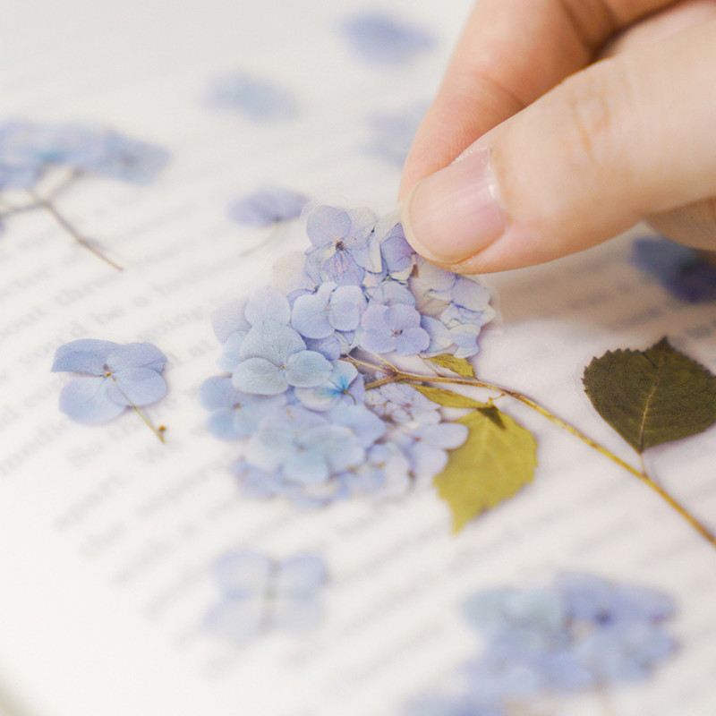 Usage example - Appree Bigleaf hydrangea pressed flower sticker