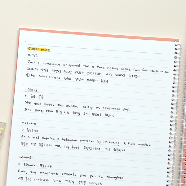 Usage example - Indigo Prism 56 spiral bound B5 lined notebook