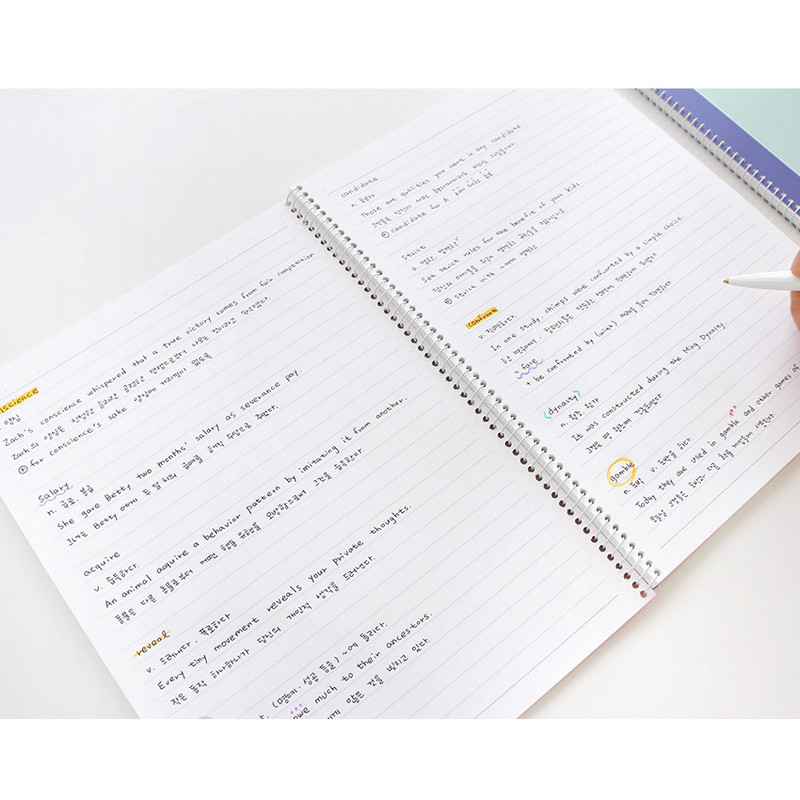 Usage example - Indigo Prism 56 spiral bound B5 lined notebook