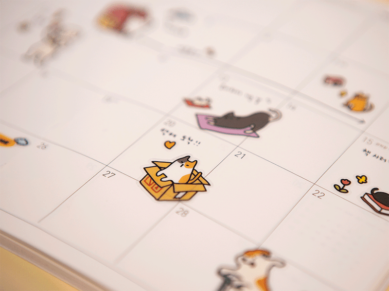 Removable stickers - Ardium Cat and Dog small friends removable sticker