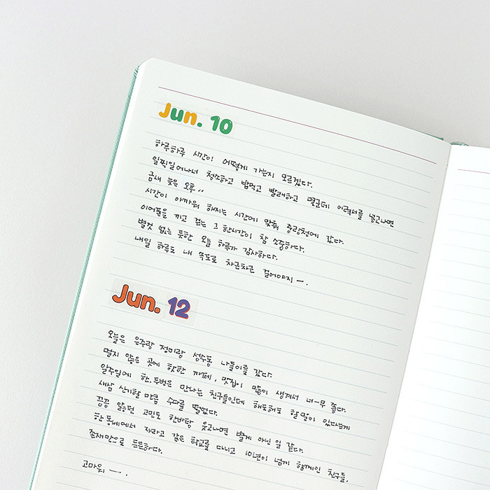 Lined note - Indigo 2021 Prism dated monthly planner notebook