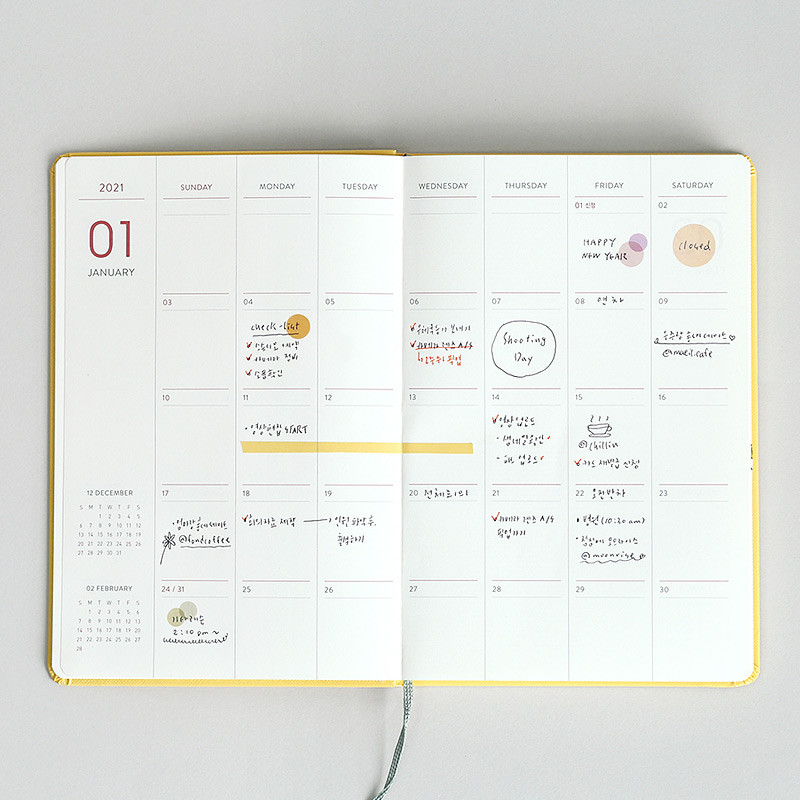 Monthly plan - Indigo 2021 Prism dated monthly planner notebook