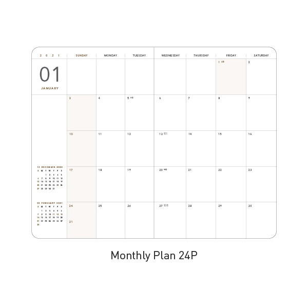 Monthly plan - Ardium 2021 365 days medium dated daily journal diary
