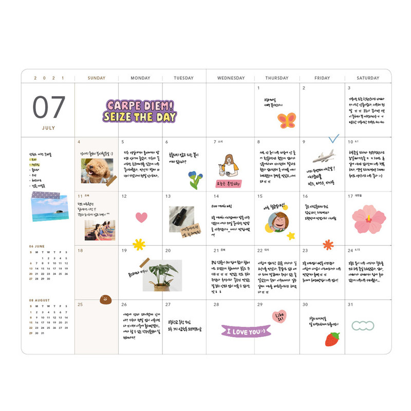 Monthly plan - Ardium 2021 365 days medium dated daily journal diary