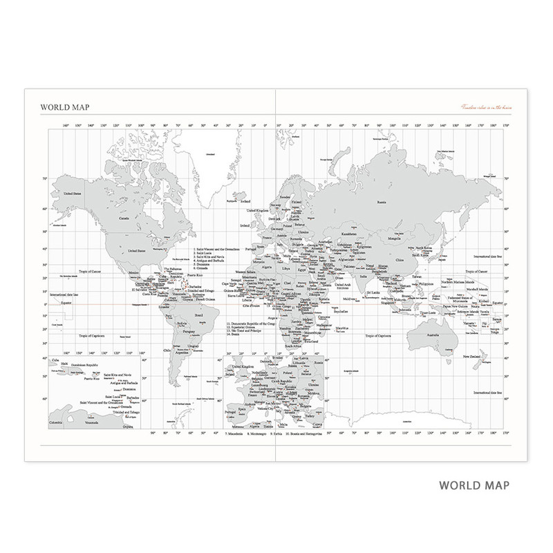 World map - Indigo 2021 Official small dated monthly planner scheduler