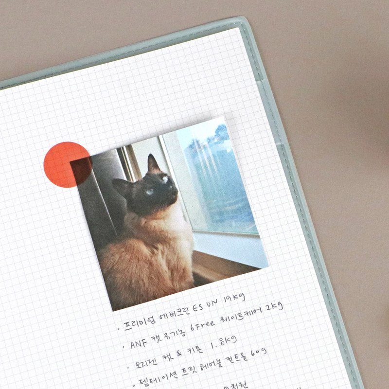 Free note - Iconic 2021 Simple large dated monthly planner