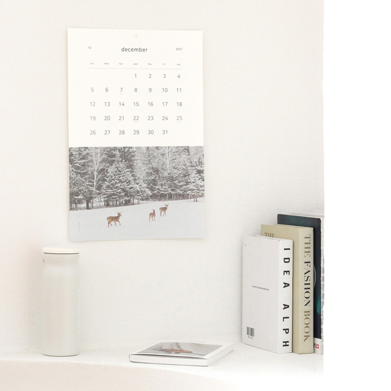 Dash and Dot 2021 Slow life monthly wall calendar