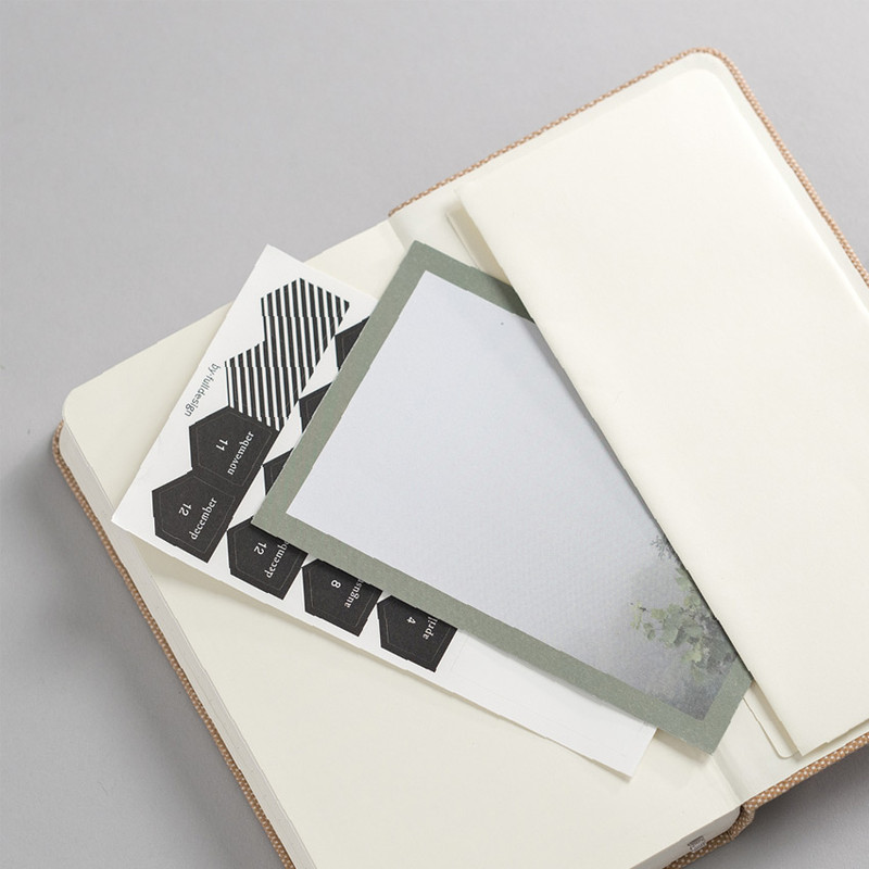 1 pocket inside back cover