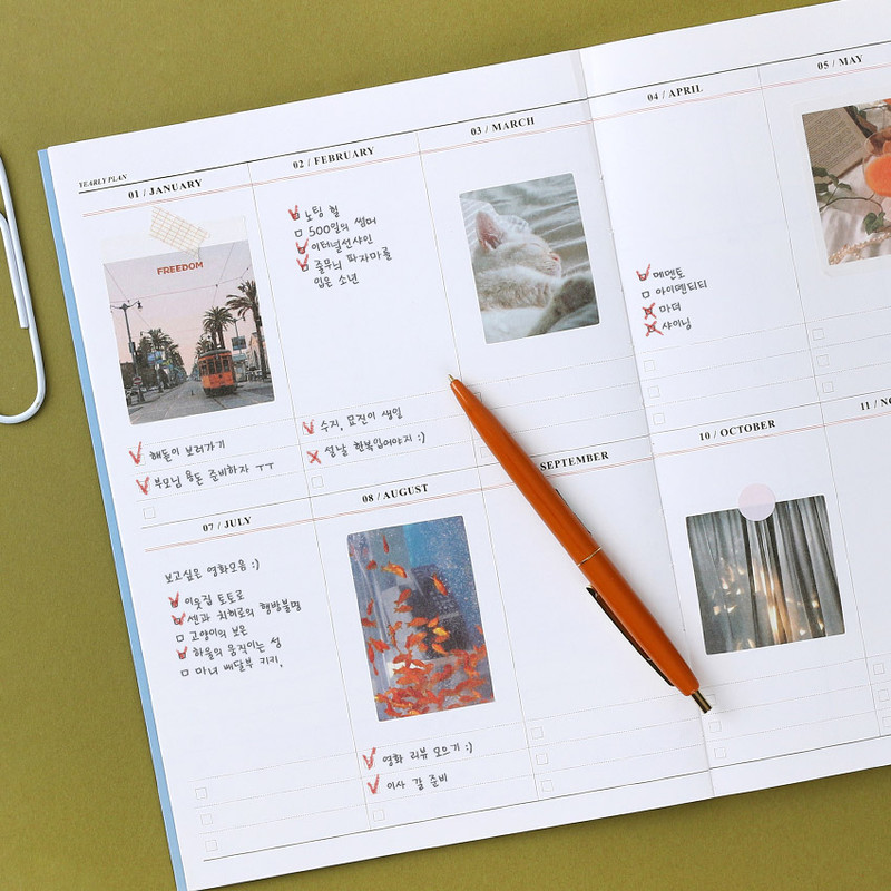 Yearly plan - Wanna This 2021 Month classic large dated monthly planner