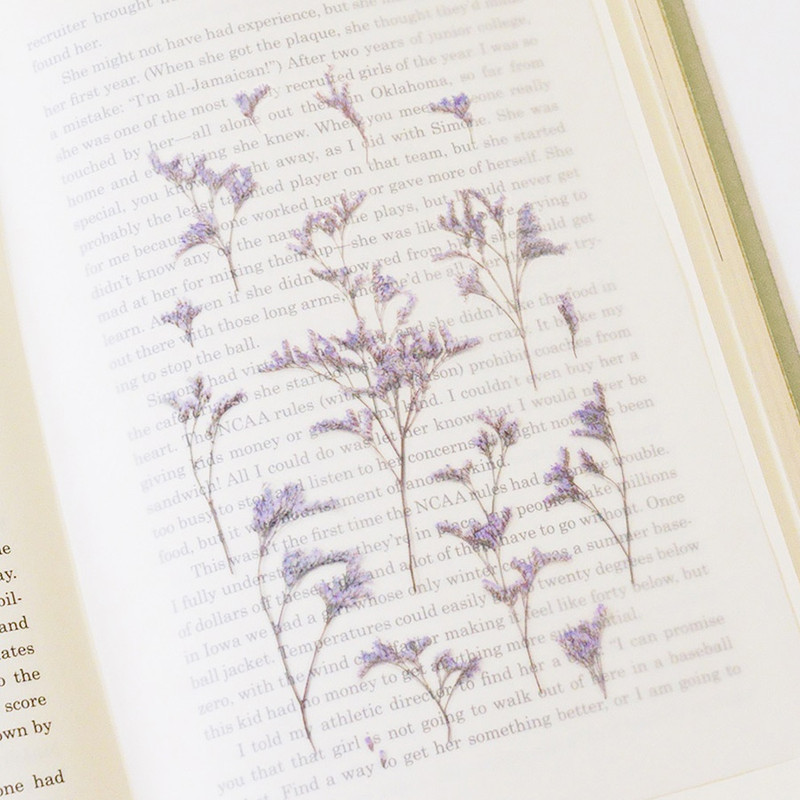 Appree Misty blue pressed flower sticker Appree Misty blue pressed flower sticker