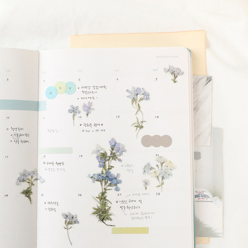 Usage example - Appree Moss phlox pressed flower sticker