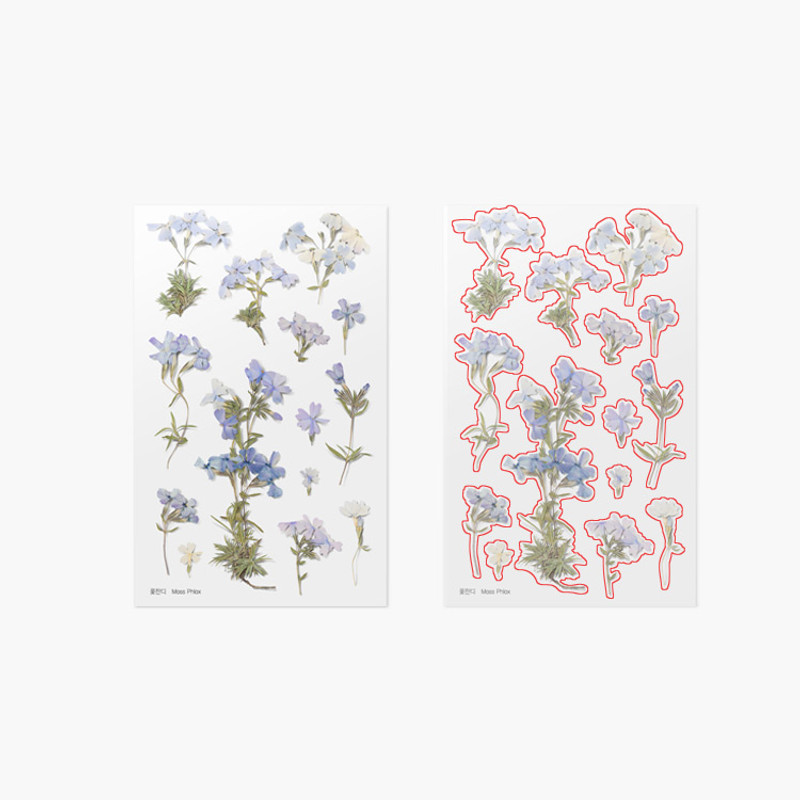 Appree Moss phlox pressed flower sticker
