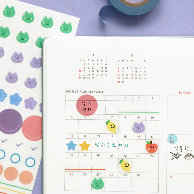 Usage example - ICONIC Diary deco sticker 9 sheets in one set ver11