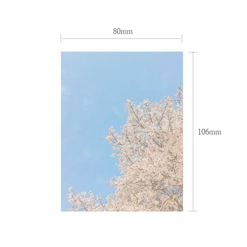 Size - Meri Film Spring cherry blossom memo writing notepad Size - Meri Film Spring cherry blossom memo writing notepad