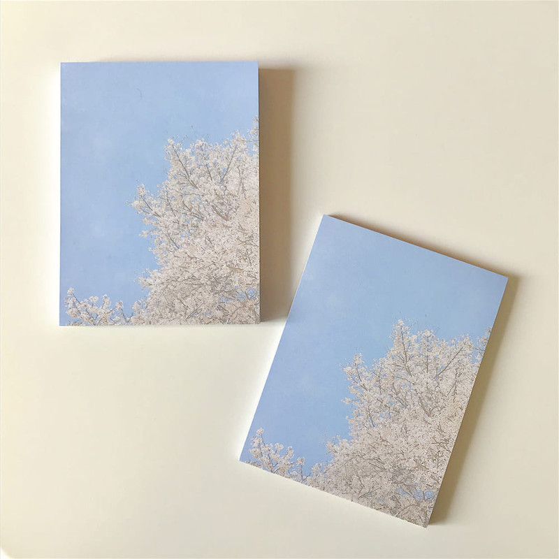 Meri Film Spring cherry blossom memo writing notepad Meri Film Spring cherry blossom memo writing notepad
