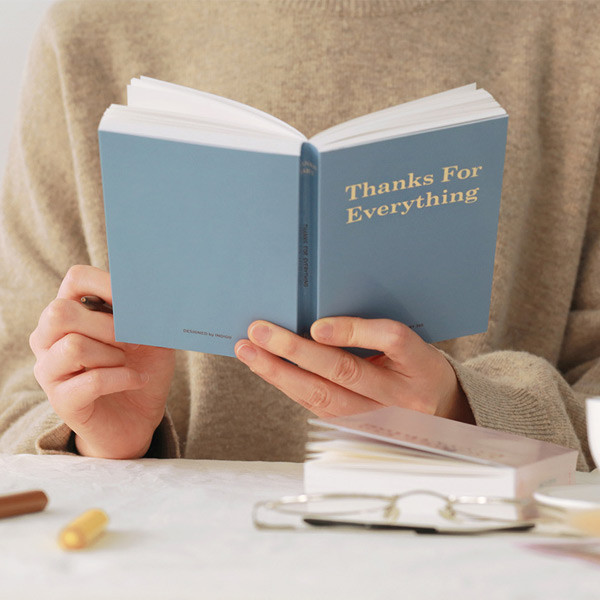 Indigo 365 days dateless gratitude daily journal
