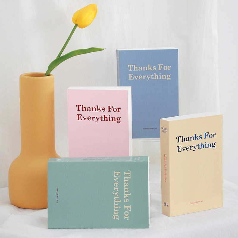 Indigo 365 days dateless gratitude daily journal
