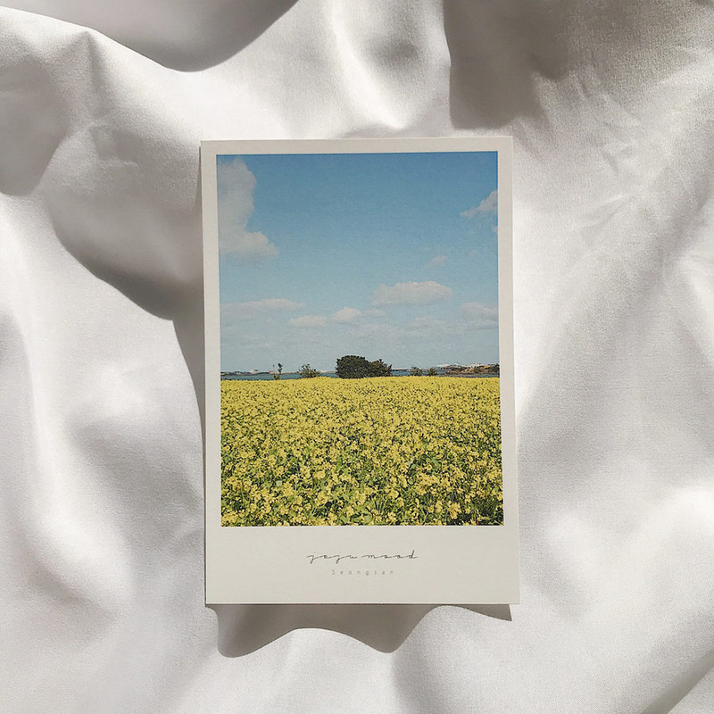 Meri Film Jeju travel postcard 4 sheets set