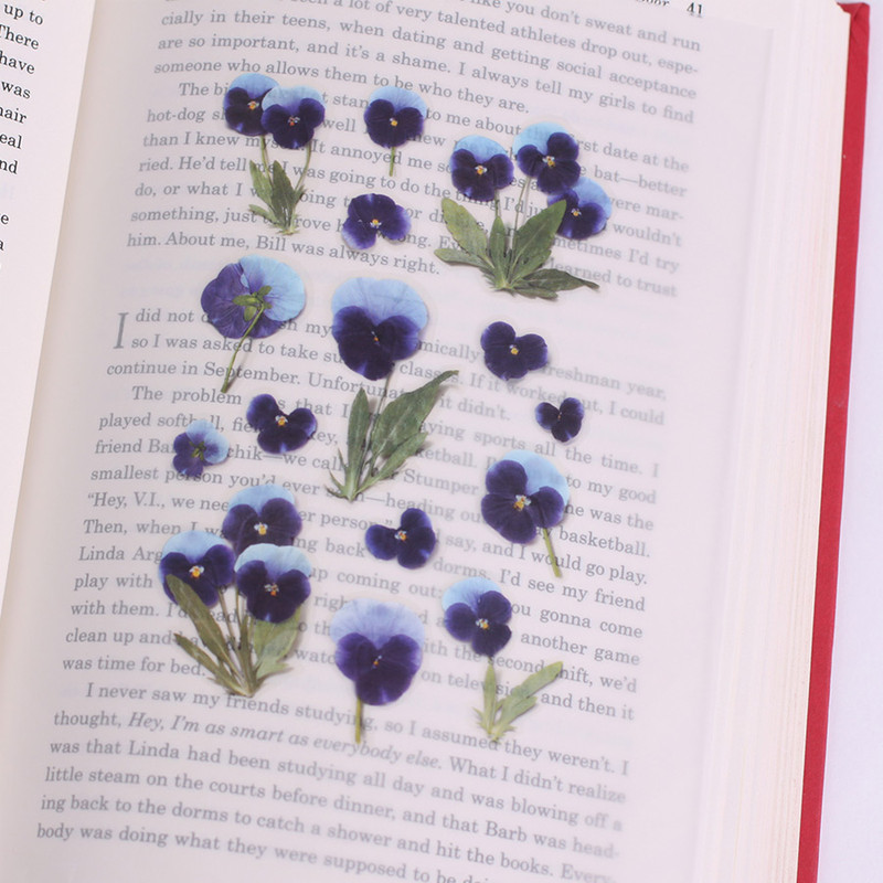 Appree Pansy pressed flower sticker Appree Pansy pressed flower sticker