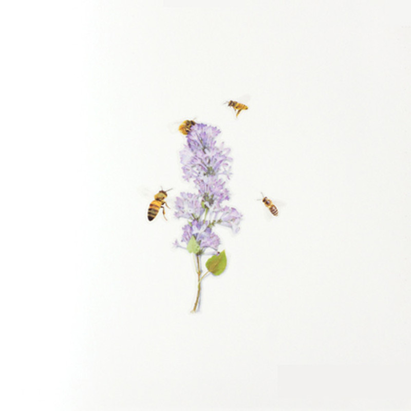 Usage example - Appree Honeybee nature clear sticker Usage example - Appree Honeybee nature clear sticker