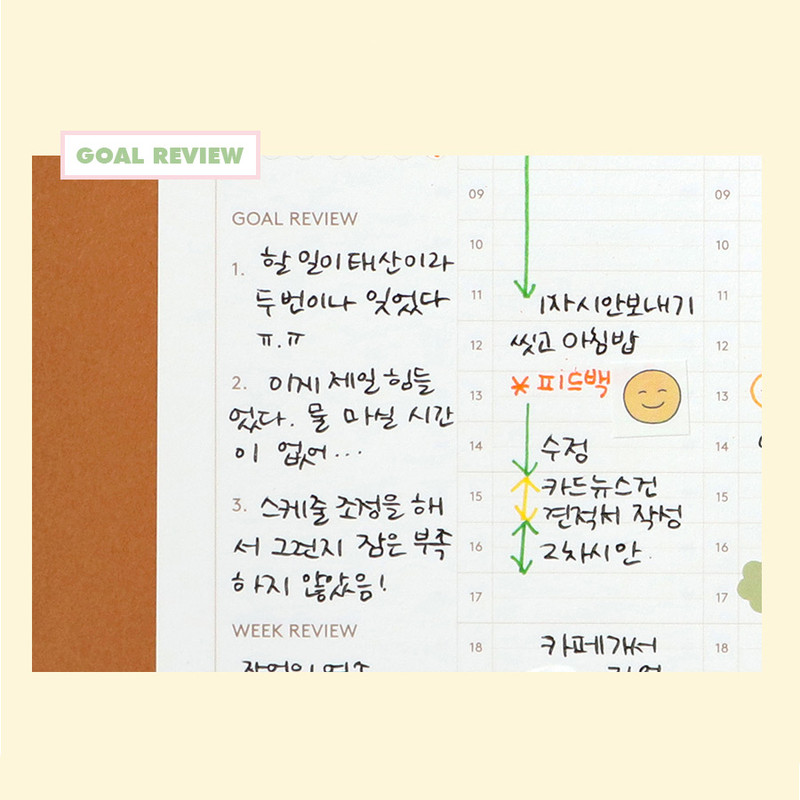 Goal review - Indigo 6 month dateless weekly time management planner