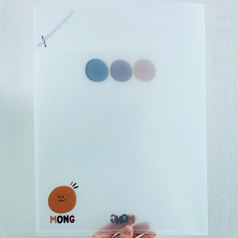 N.IVY Mong pocket translucent document file holder N.IVY Mong pocket translucent document file holder