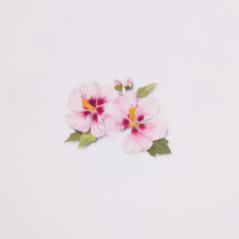 Usage example - Appree Rose of Sharon Pressed Flower Sticker