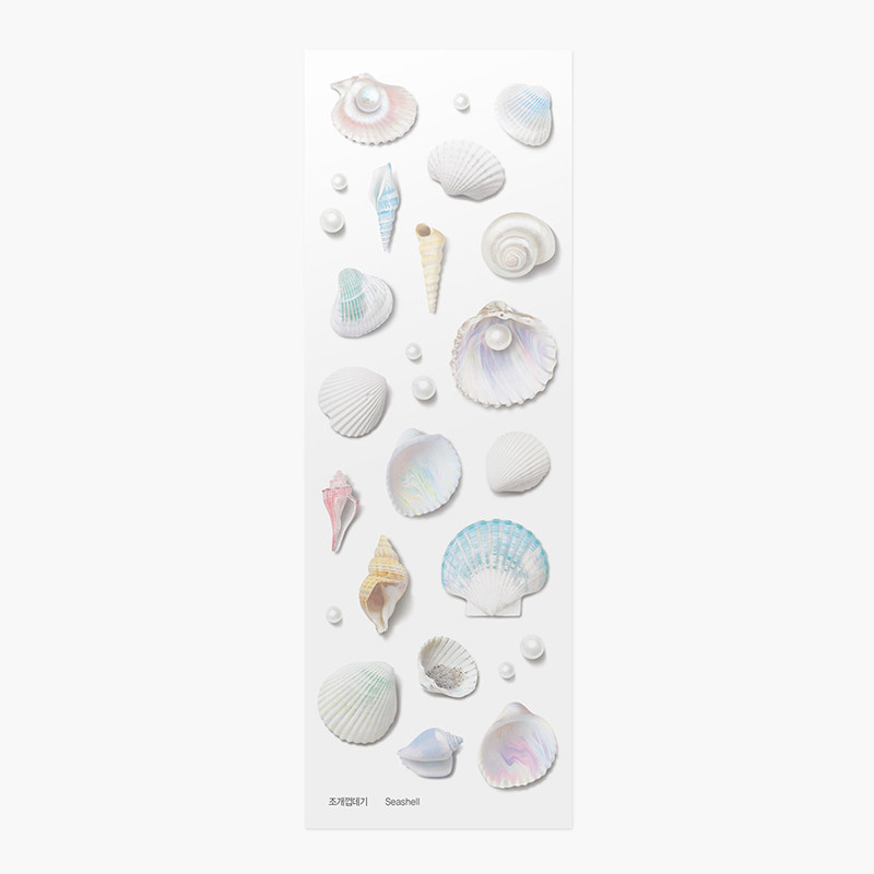 Appree Seashell Nature Clear Sticker