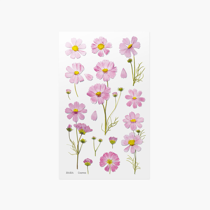 Appree Cosmos Pressed Flower Sticker