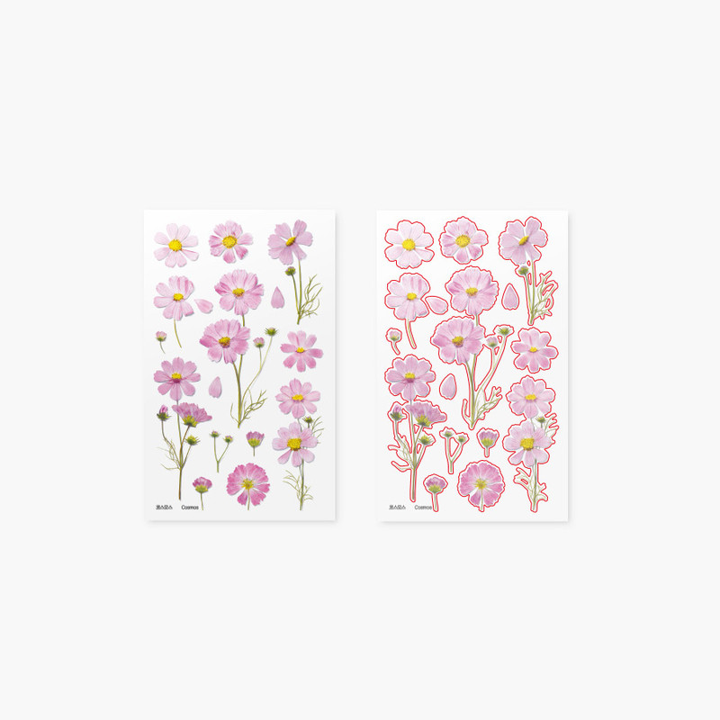 Appree Cosmos Pressed Flower Sticker