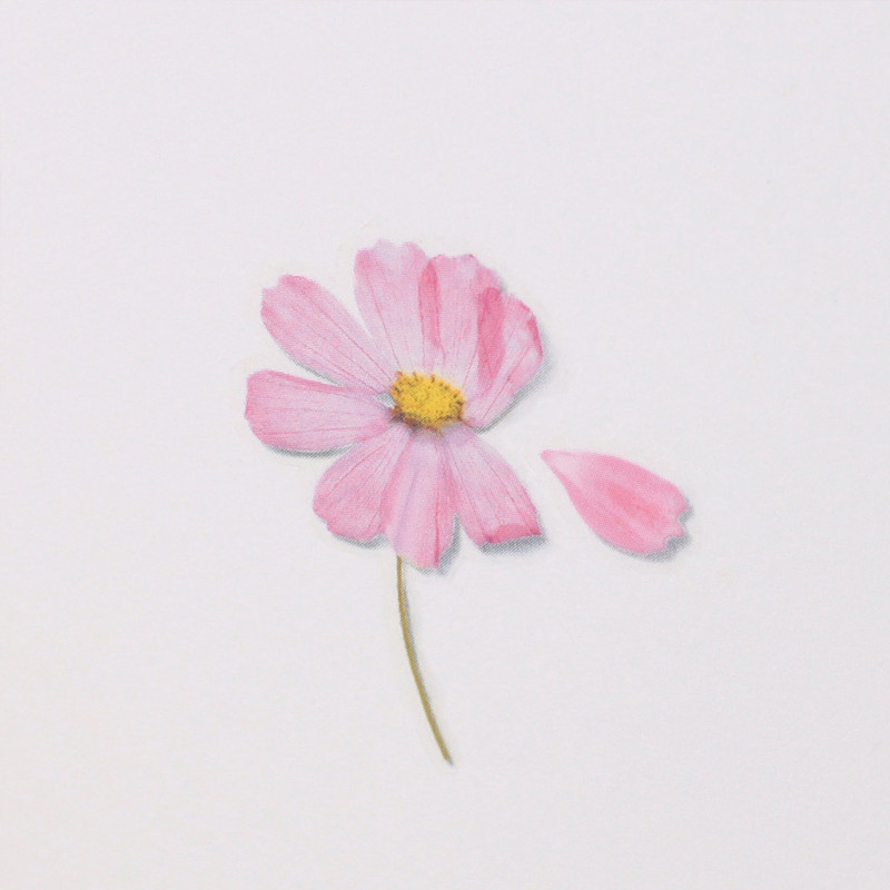 Appree Cosmos Pressed Flower Sticker