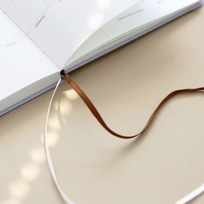 Two Ribbon bookmark - ICONIC 2022 Brilliant Dated Weekly Diary Planner