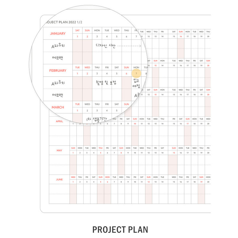 Project plan - ICONIC 2022 Brilliant Dated Weekly Diary Planner