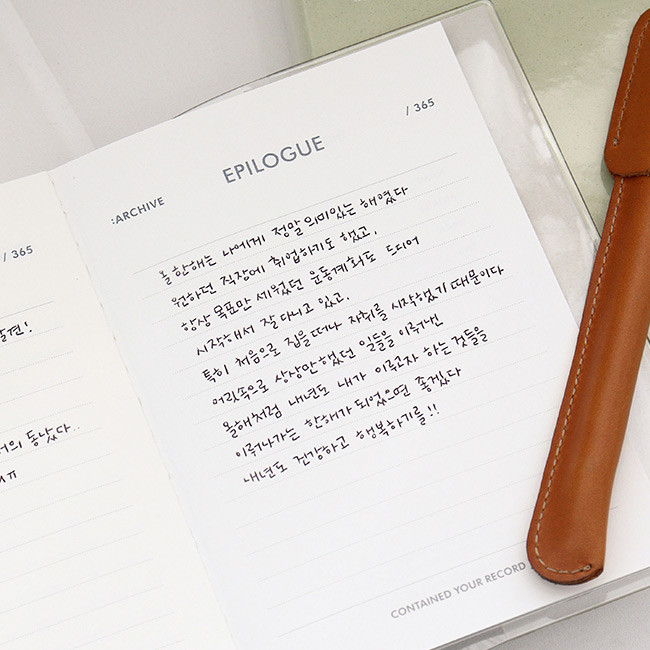 Usage example - Indigo Record Your 365 Day Dateless Daily Diary Journal