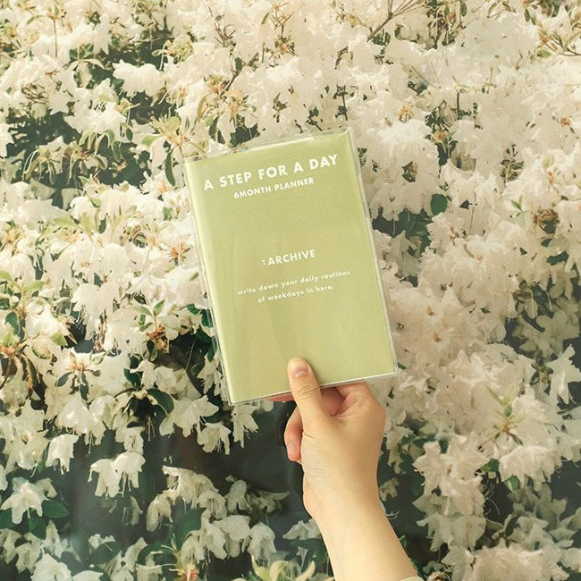 Indigo A Step 6 Months Dateless Weekly Diary Journal