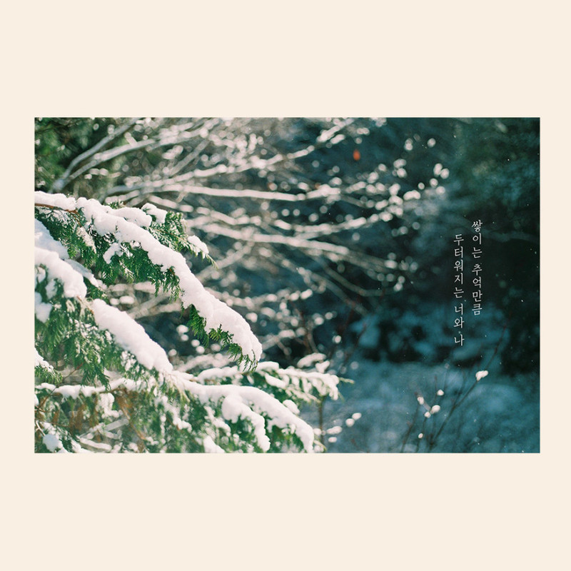Pine tree - Meri Film Winter Mood Post Card
