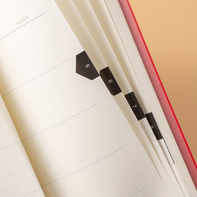 Comes with index sticker - Byfulldesign Notable Memory Dateless Daily Planner Scheduler Comes with index sticker - Byfulldesign Notable Memory Dateless Daily Planner Scheduler