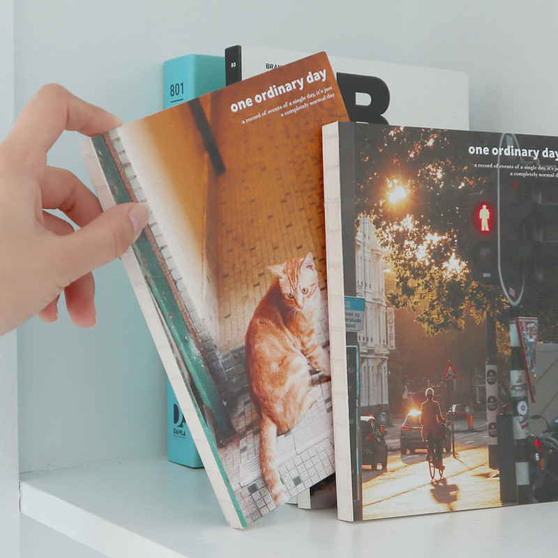 O-check One Ordinary Day Dateless Monthly Diary Planner