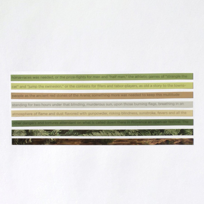 Forest breeze - After The Rain Long Index Highlighter Sticky Note Set Forest breeze - After The Rain Long Index Highlighter Sticky Note Set