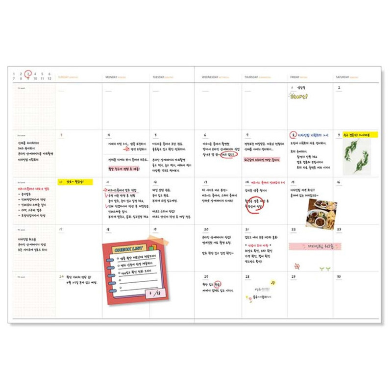 Monthly plan - 3 months Undated Daily Business Planner
