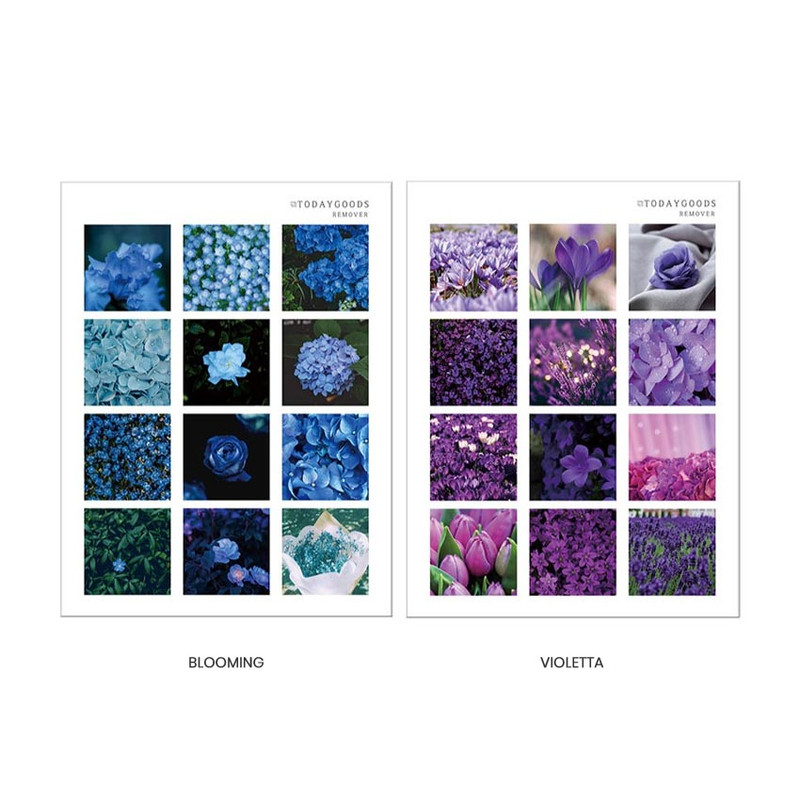 Blooming, Violetta - Vibe Removable Square Sticker Ver2 Blooming, Violetta - Vibe Removable Square Sticker Ver2