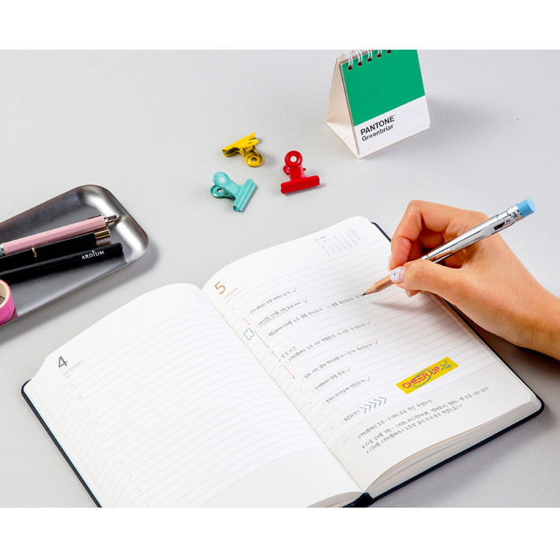 Daily plan - 2024 365 Days Medium Dated Daily Diary Agenda