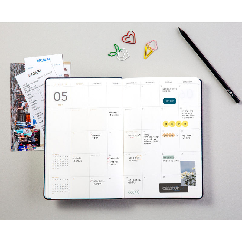 Monthly plan - 2024 365 Days Medium Dated Daily Diary Agenda